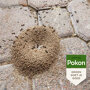 Pokon Tegen Mieren poeder sfeer